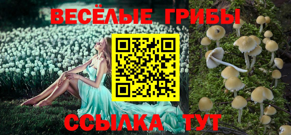 Галлюциногенные грибы ЛСД Камышлов