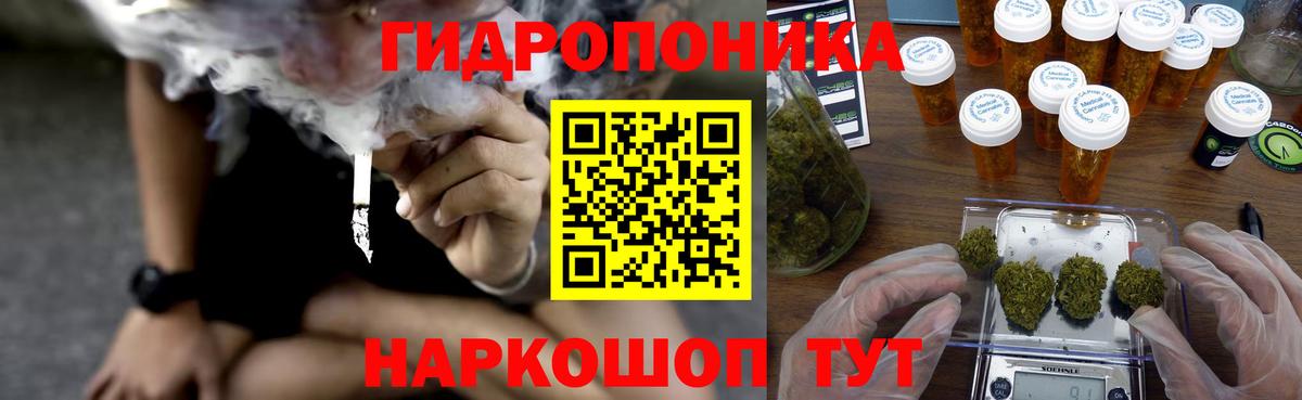 Бошки Шишки Ganja  Вход с VPN  Канабис White Widow  Марихуана MAZAR  Камышлов  МАРИХУАНА сатива 